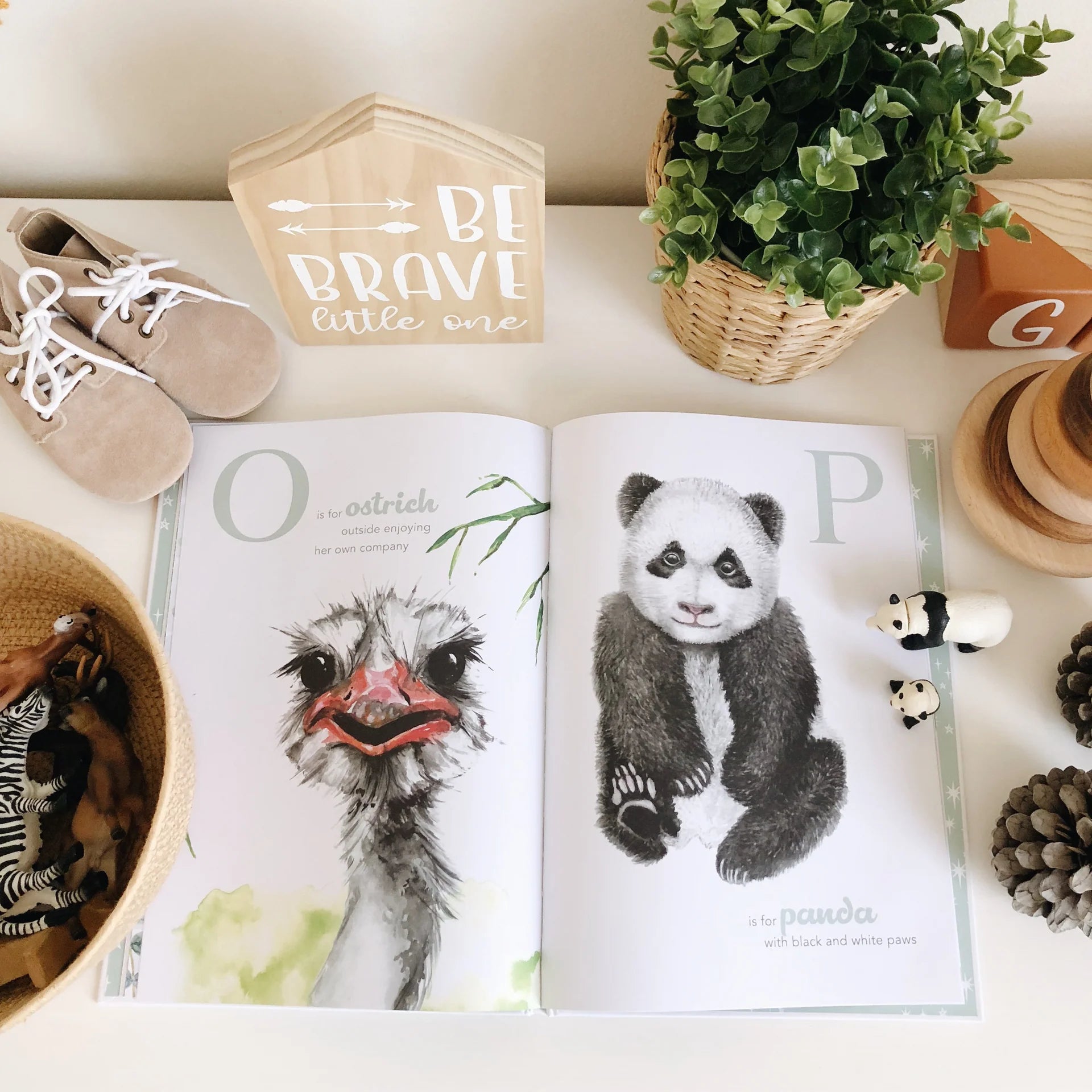 The Amazing ABC book