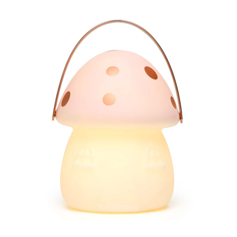 Fairy Carry Lantern