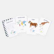 World Animals Flash Cards