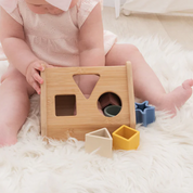 House Shape Sorter