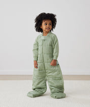 Sleep Suit Bag 2.5 tog