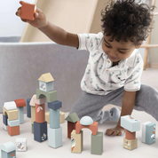 Building Blocks - 50 pc set