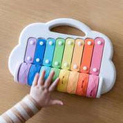 Rainbow Roller Xylophone