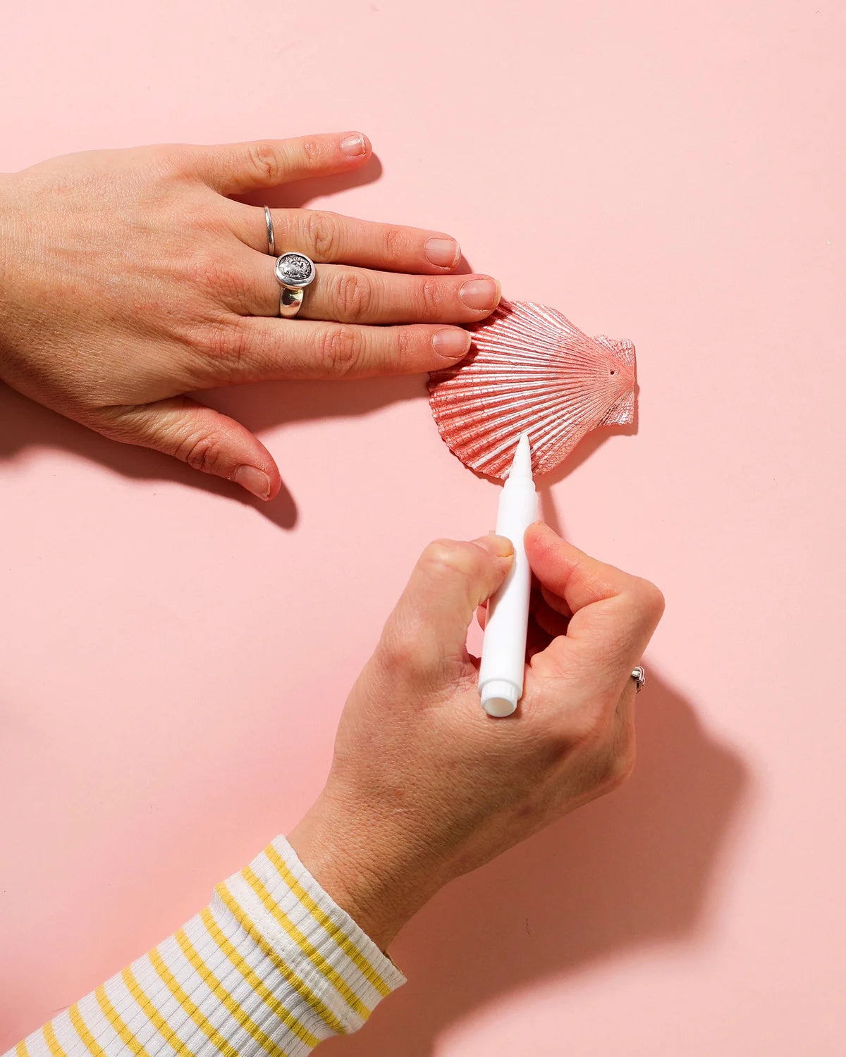 Make Your Own Shell Wallhanging