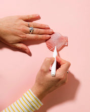 Make Your Own Shell Wallhanging