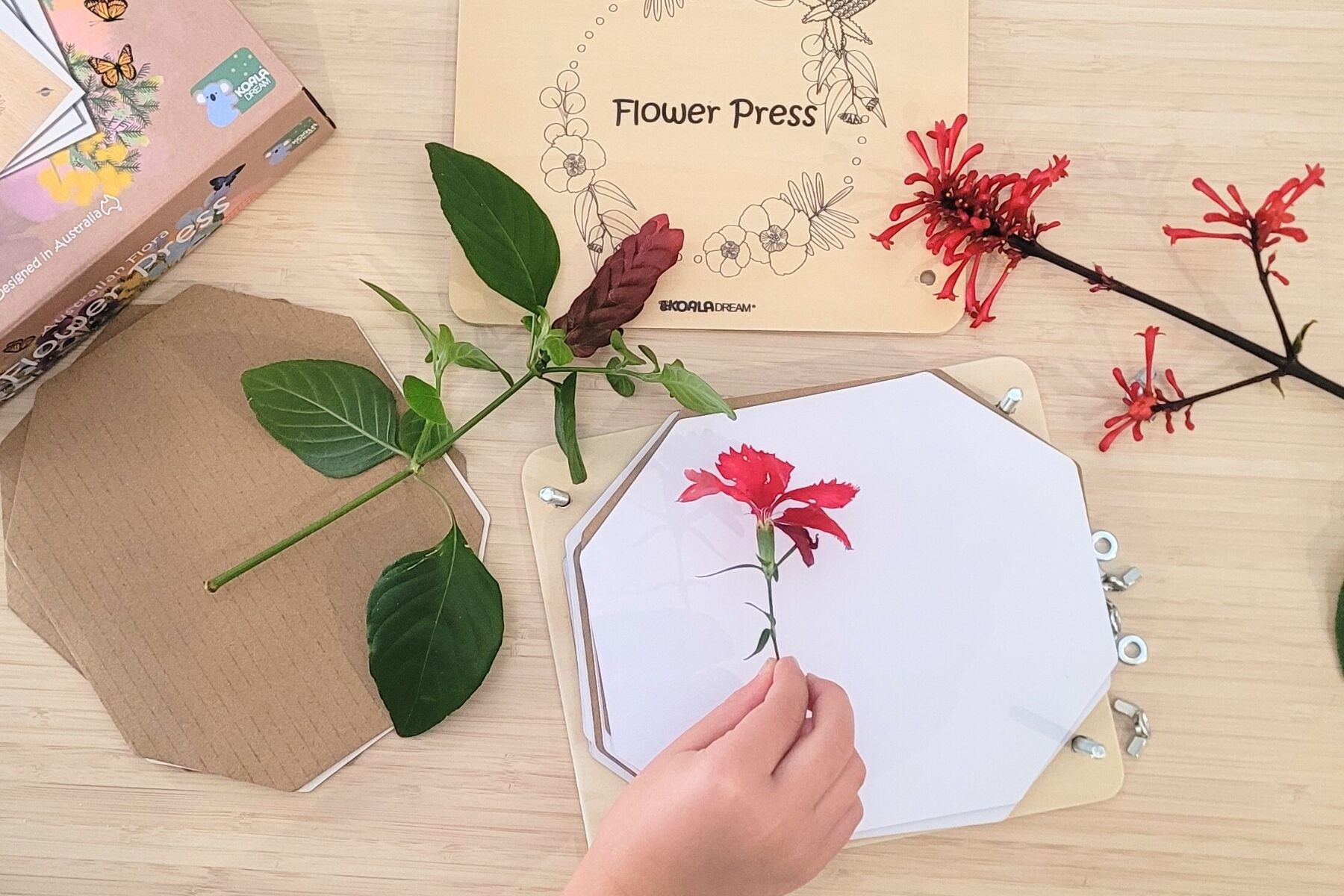 Australian Flora Flower Press Kit