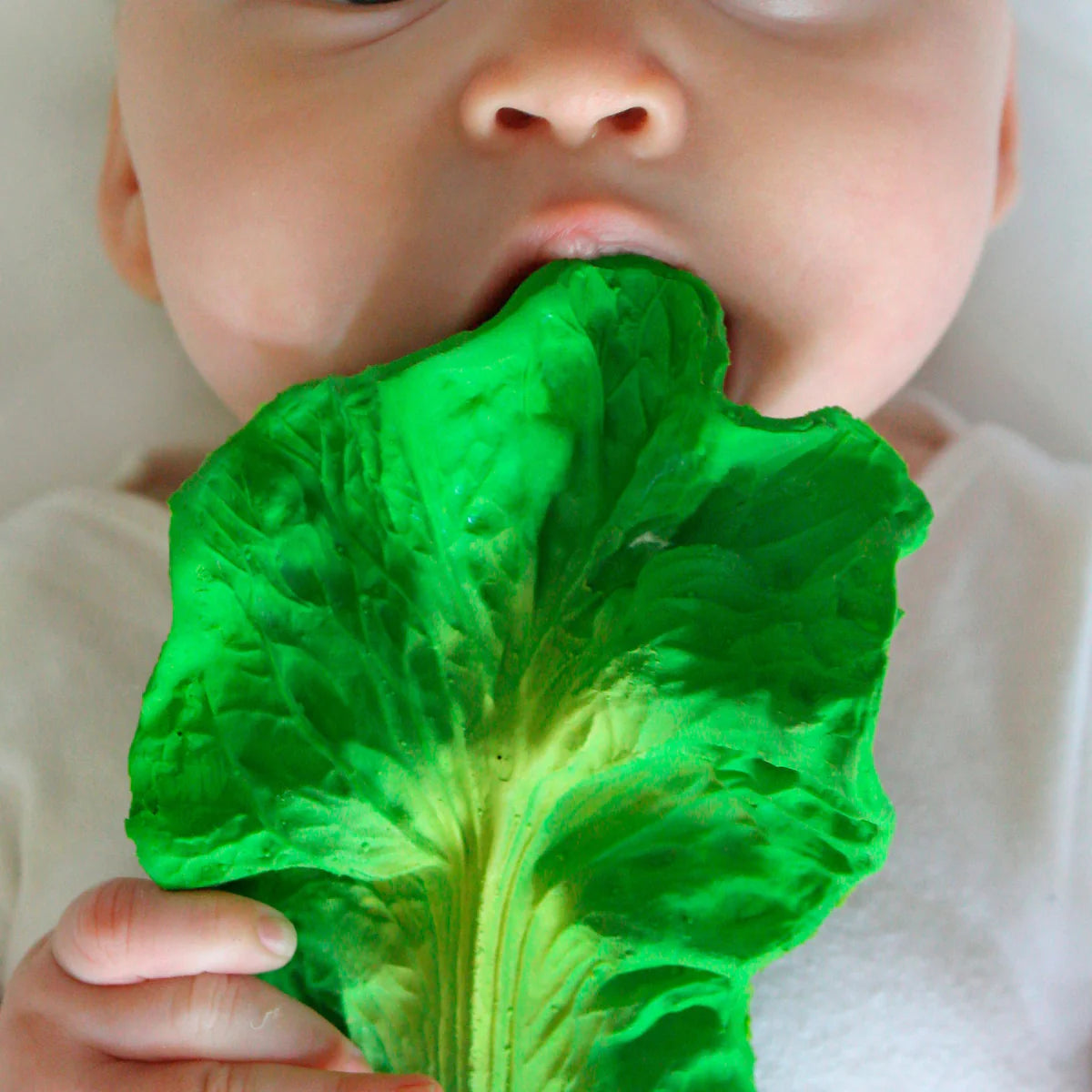 Natural Rubber Teether - Kendall the Kale