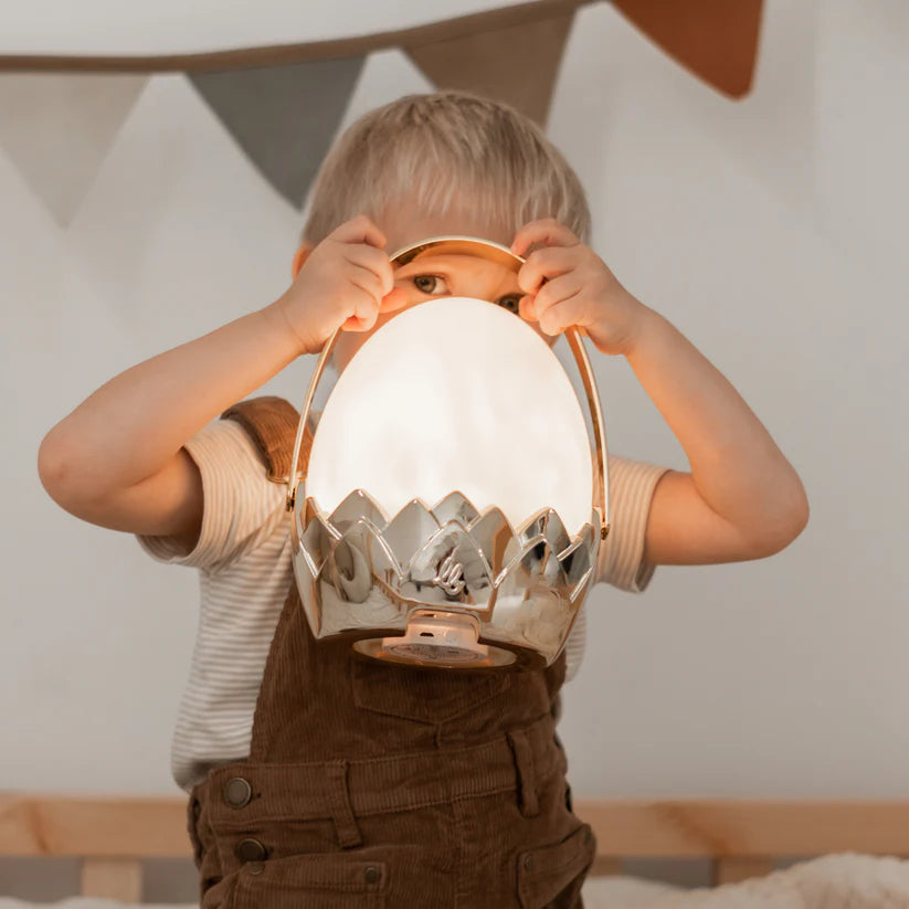 Dragon Egg Lantern