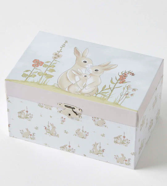 Some Bunny Loves You Jewellery Box