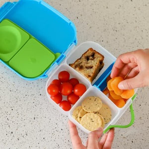 Mini Lunchbox - Emerald Forest