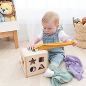 4 - in - 1 Sensory Learning Cube