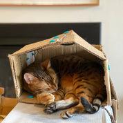 Cardboard Construction Kit 1-2 Makers EXPLORE