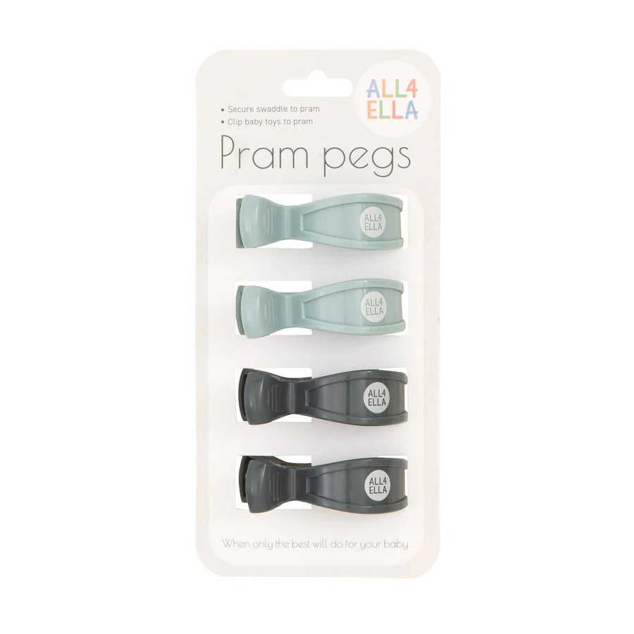 4 Pack Pegs Steel Blue/Charcoal