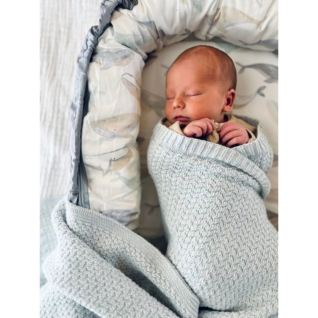 Baby Lounger - Whales