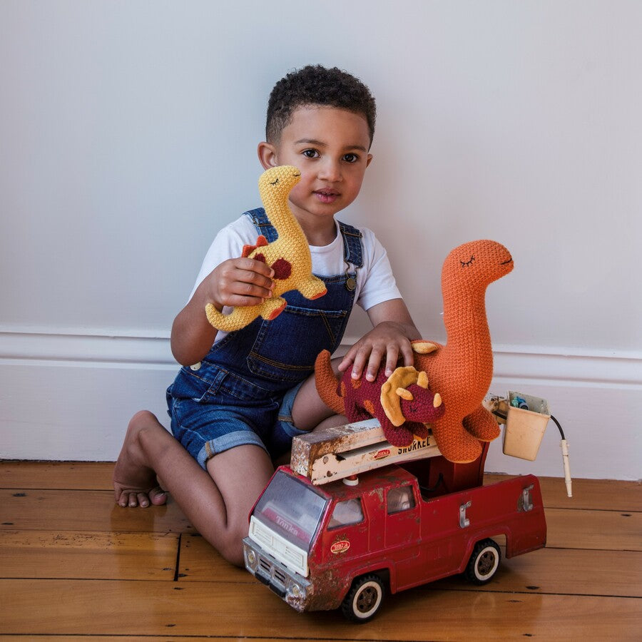 Tracey Triceratops Rattle