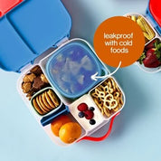 Lunch Tub - Berry