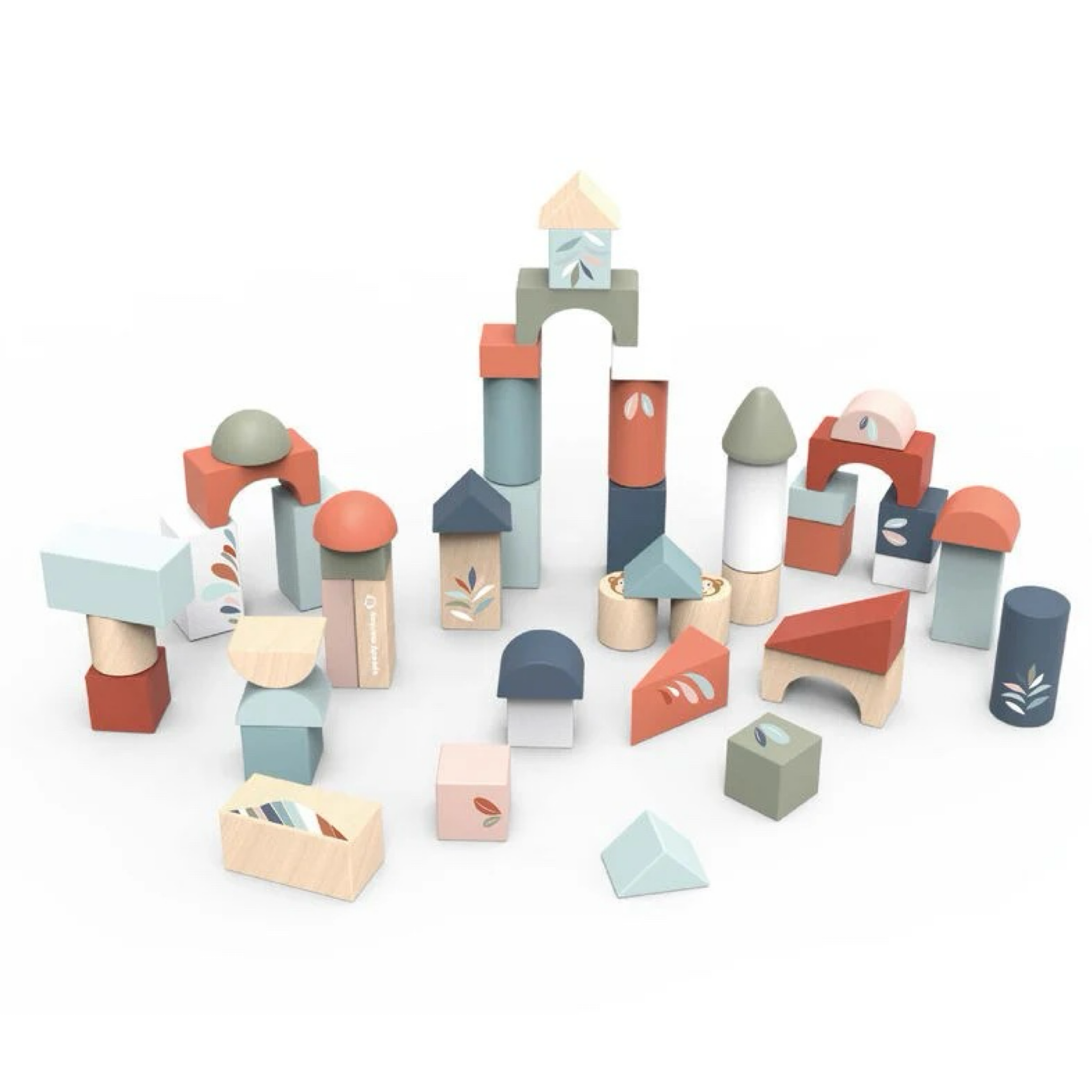 Building Blocks - 50 pc set