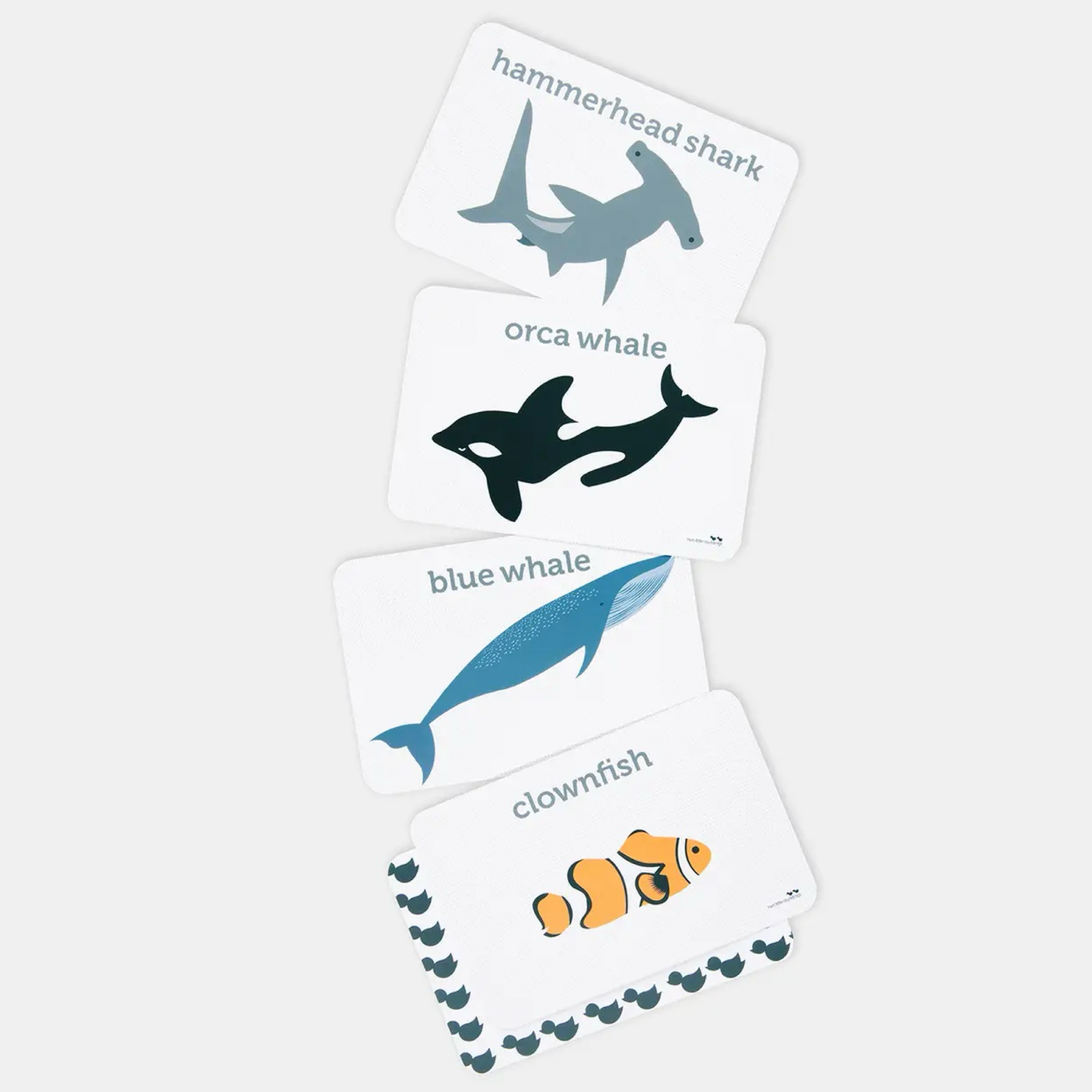 Sea Life Flash Cards