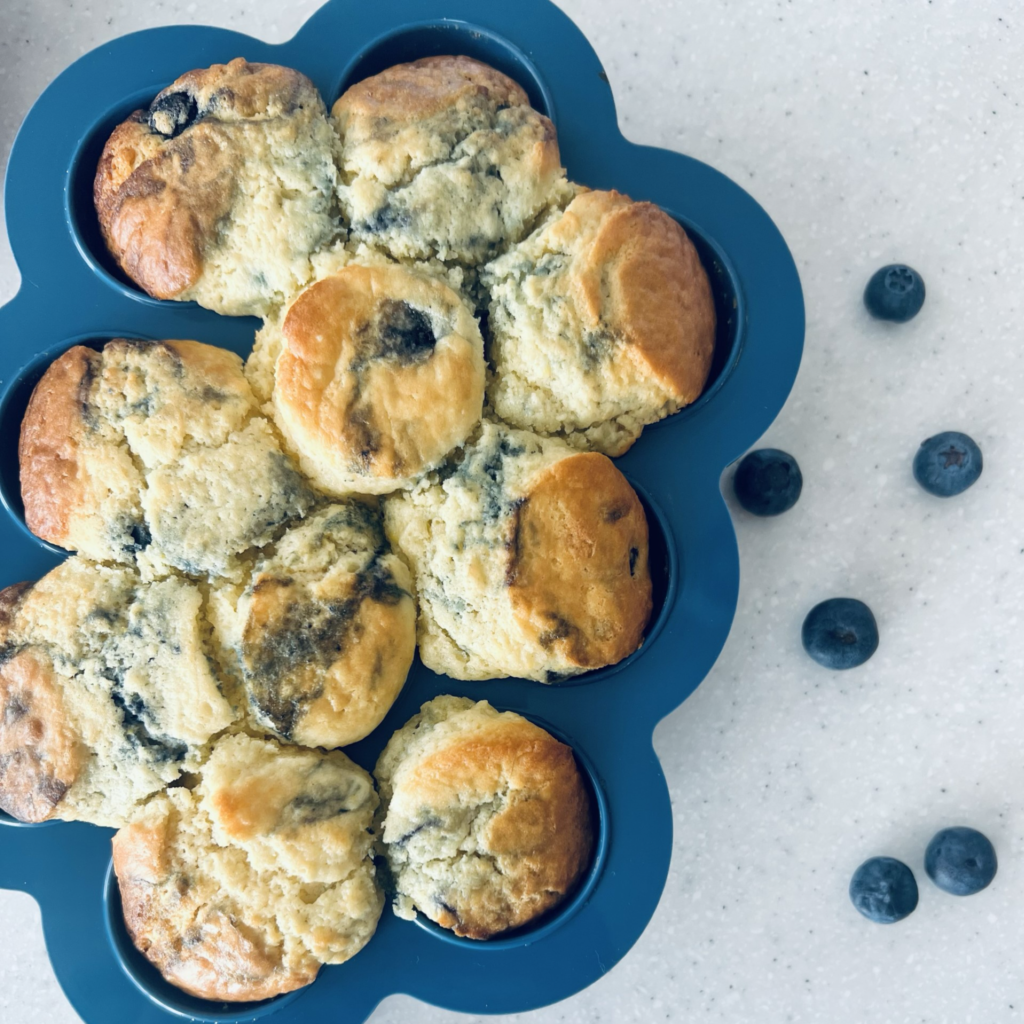 Bake and Freezer Pods