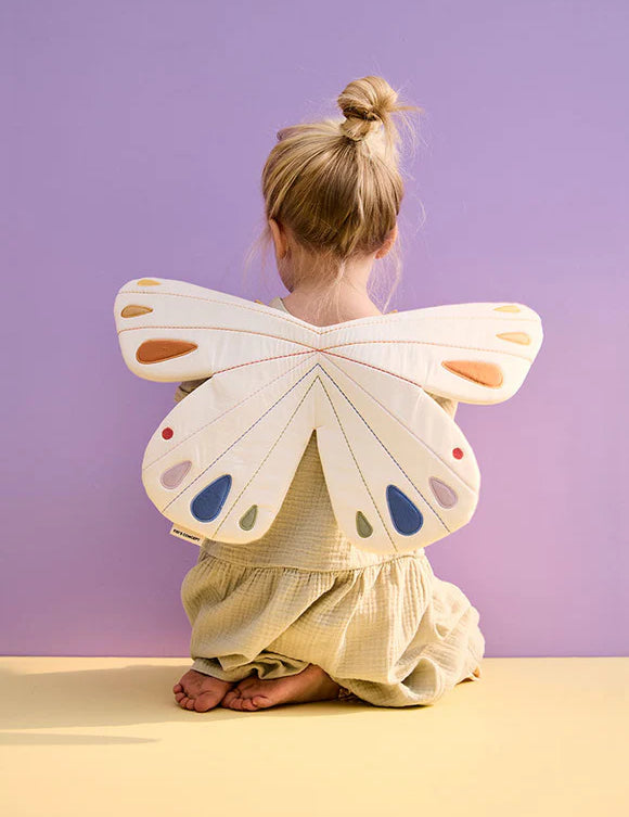 Butterflywings-WhiteMargaretRiverWesternAustralia1.webp