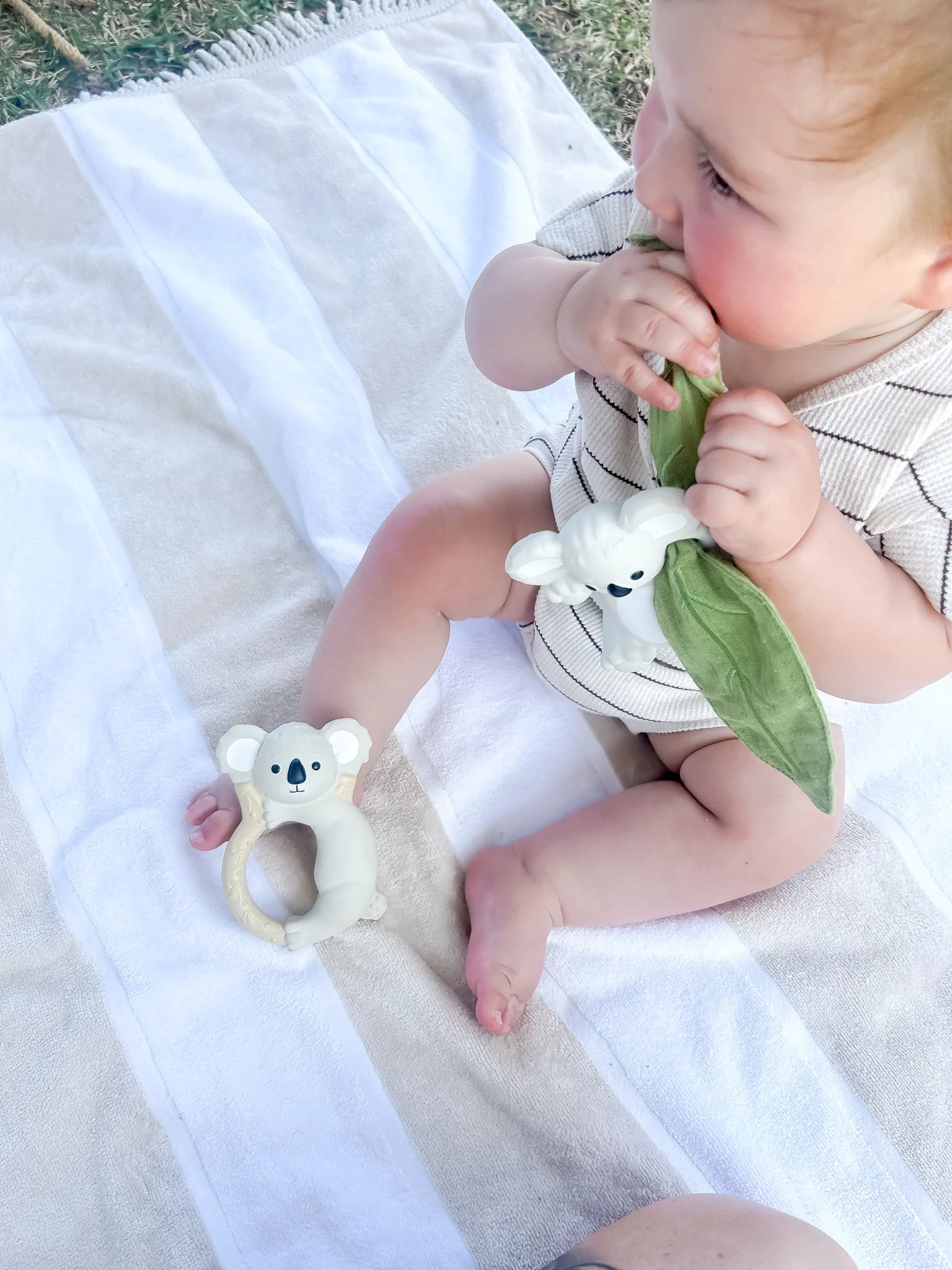 Banks the Koala Teether- Rattle and Scrunch