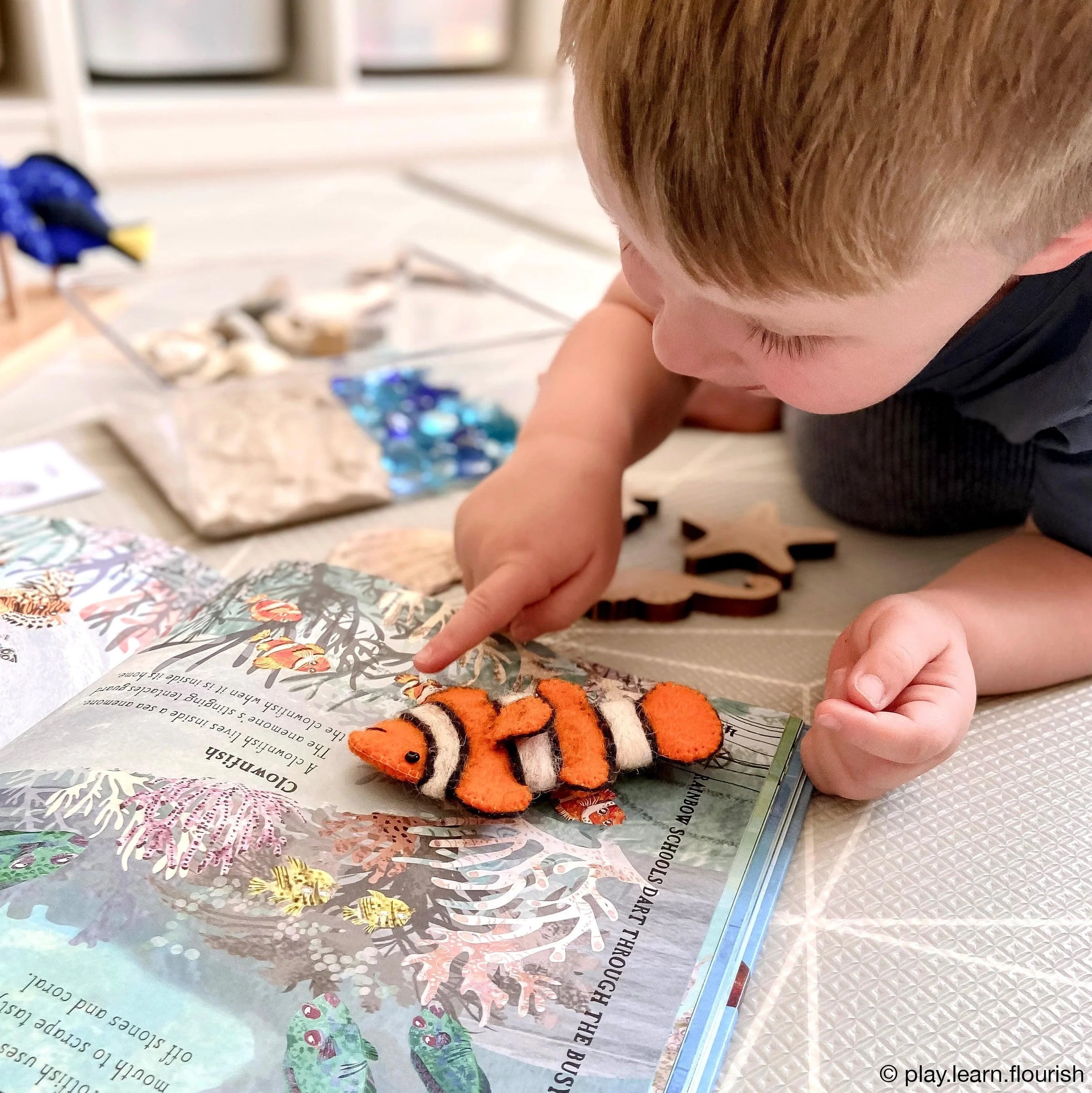 Australian Coral Reef Under The Sea - Finger Puppet Set