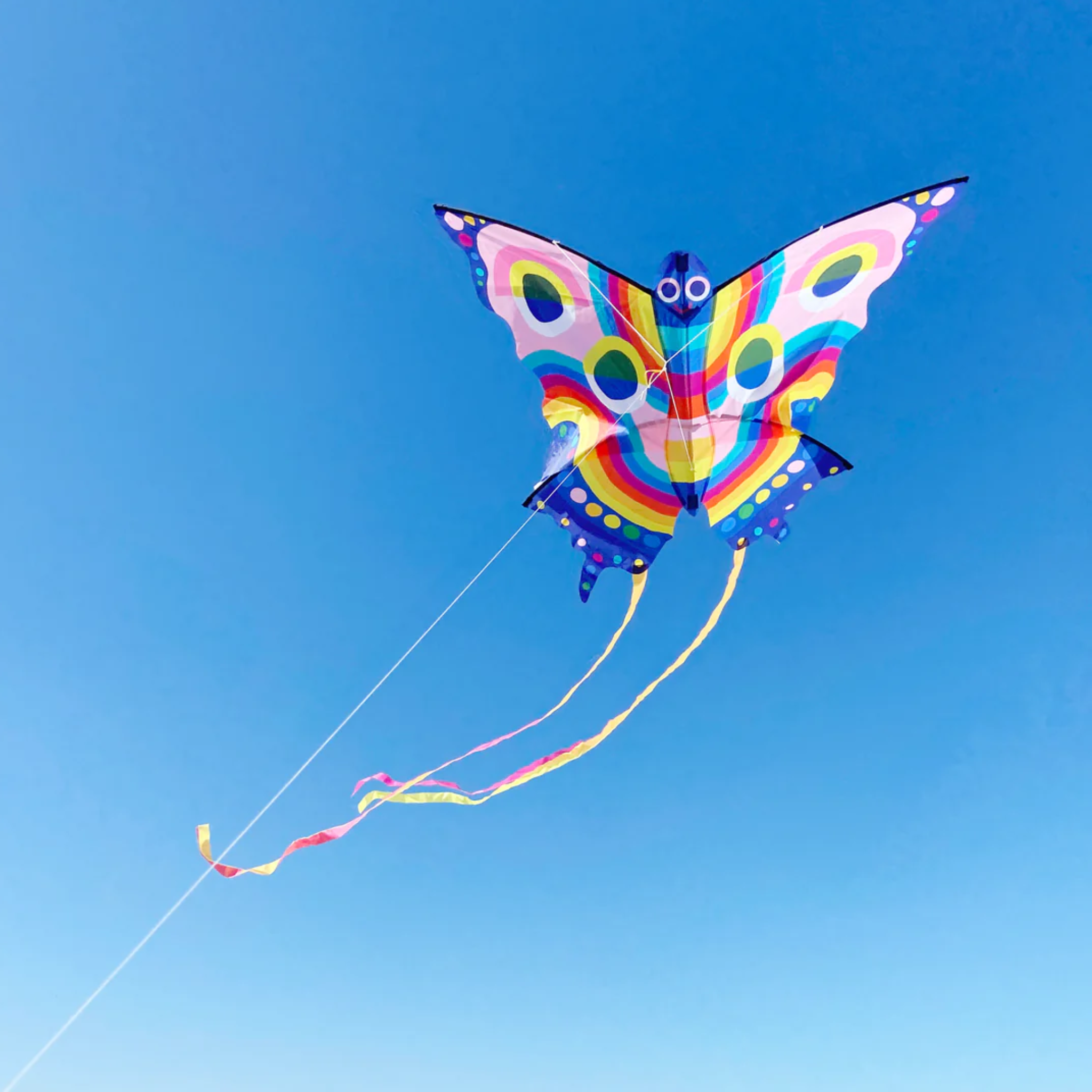 Butterfly Kite