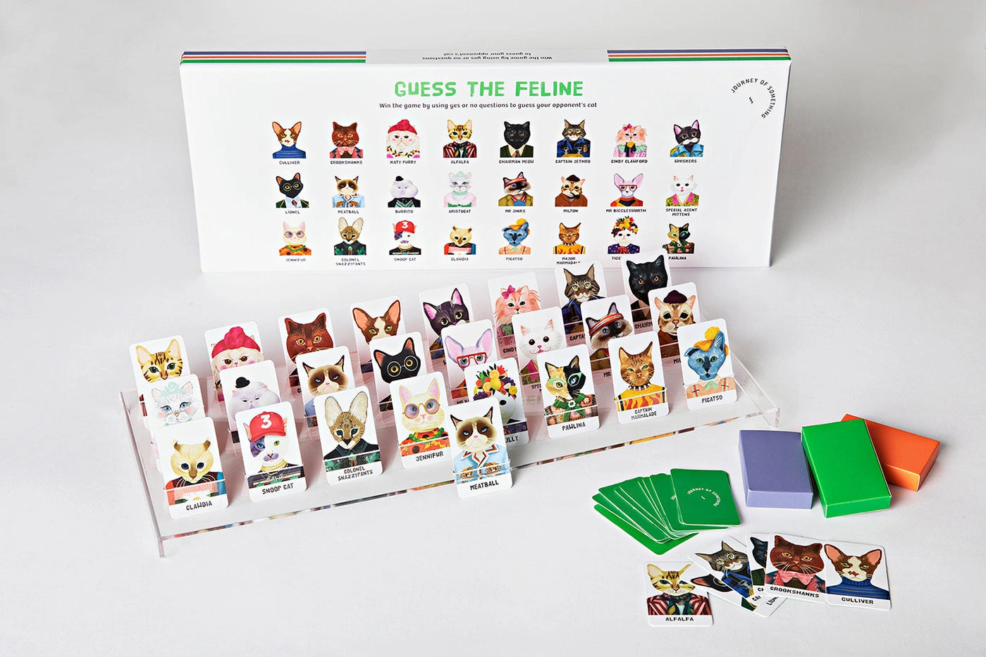 Guess the Feline Card Game