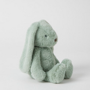 Green Bunny  Medium