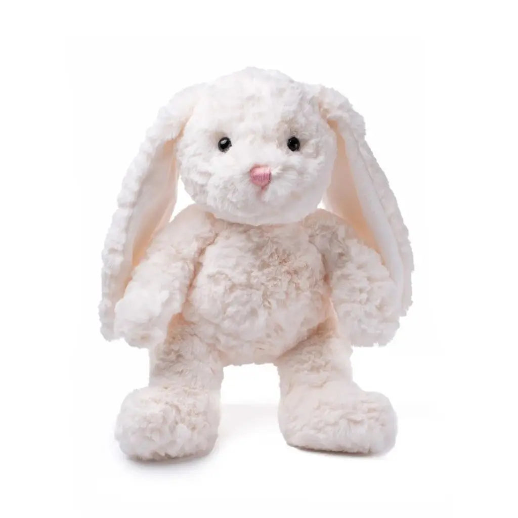 Willow the Bunny