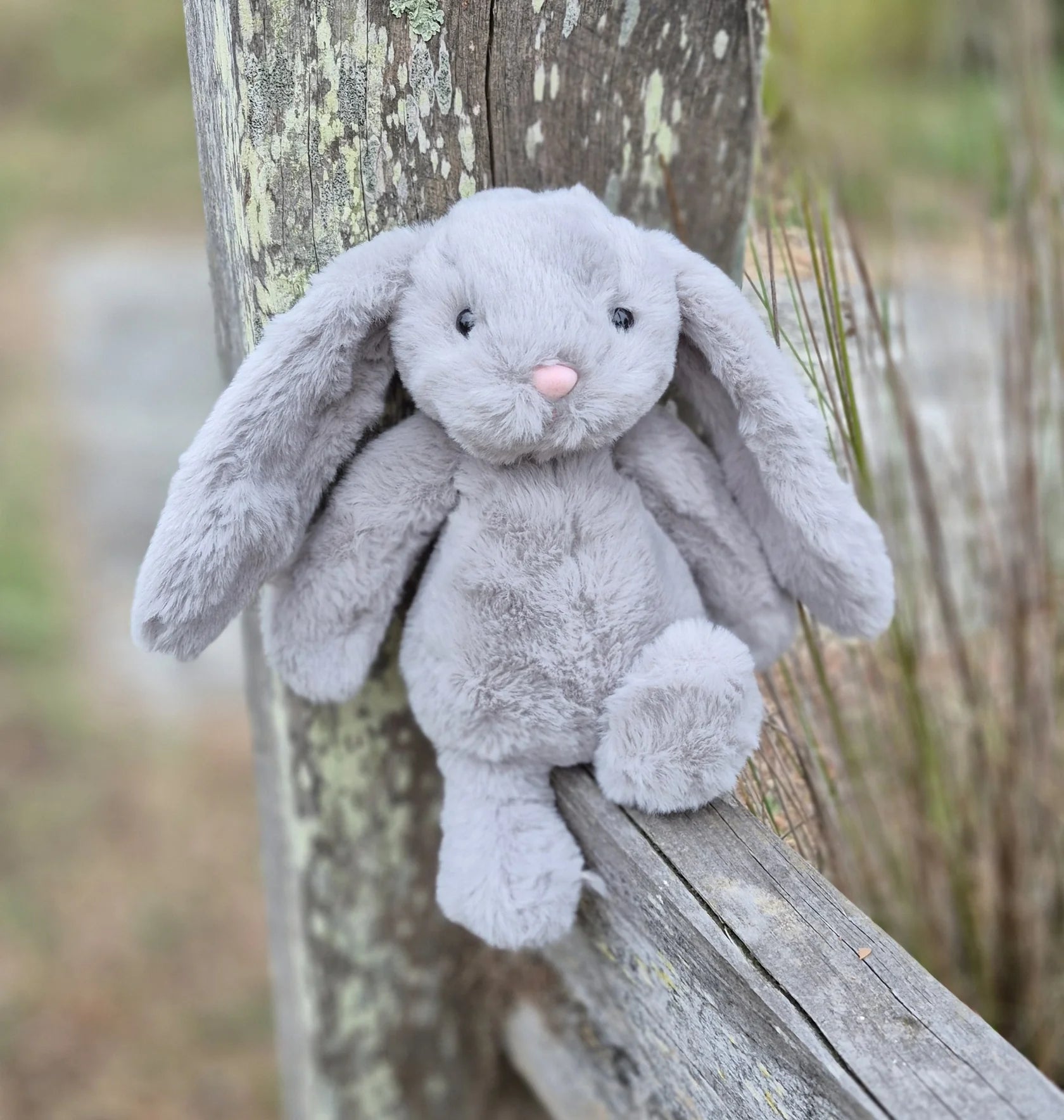 Ziggy the Bunny