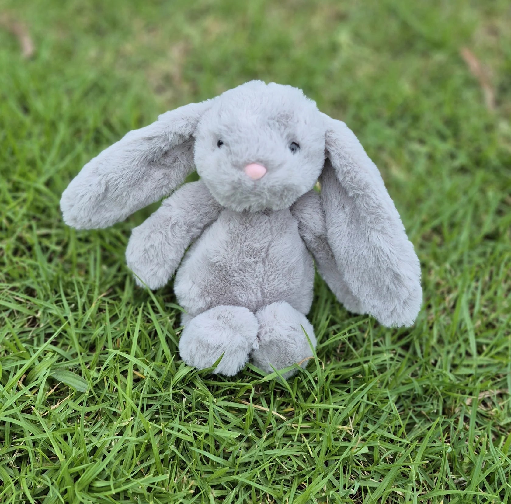 Ziggy the Bunny