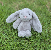 Ziggy the Bunny