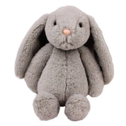 Ziggy the Bunny