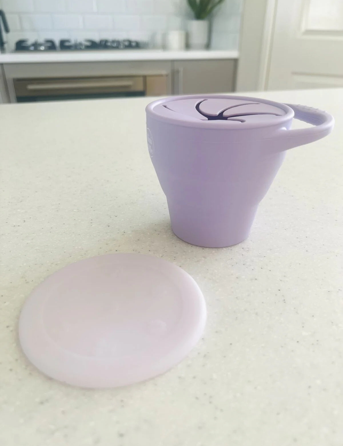 Snack Cup Collapsible with Lid