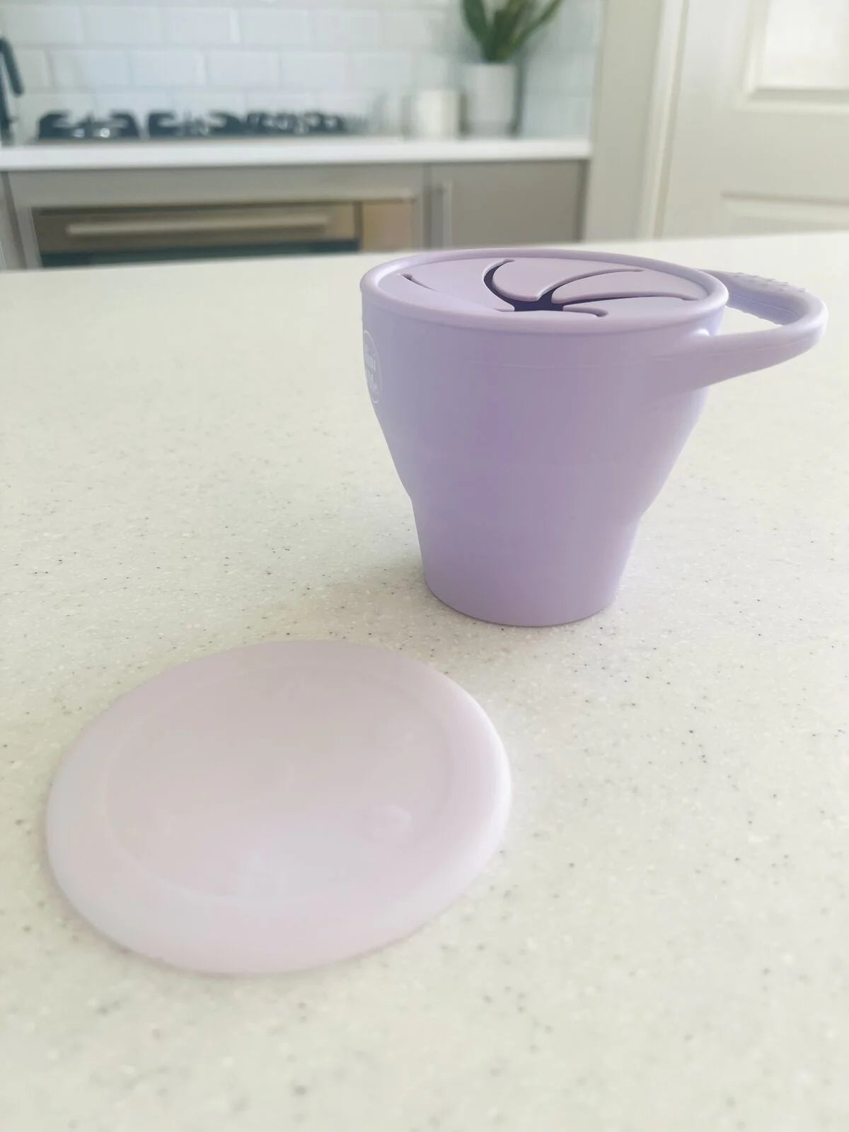 Snack Cup Collapsible with Lid