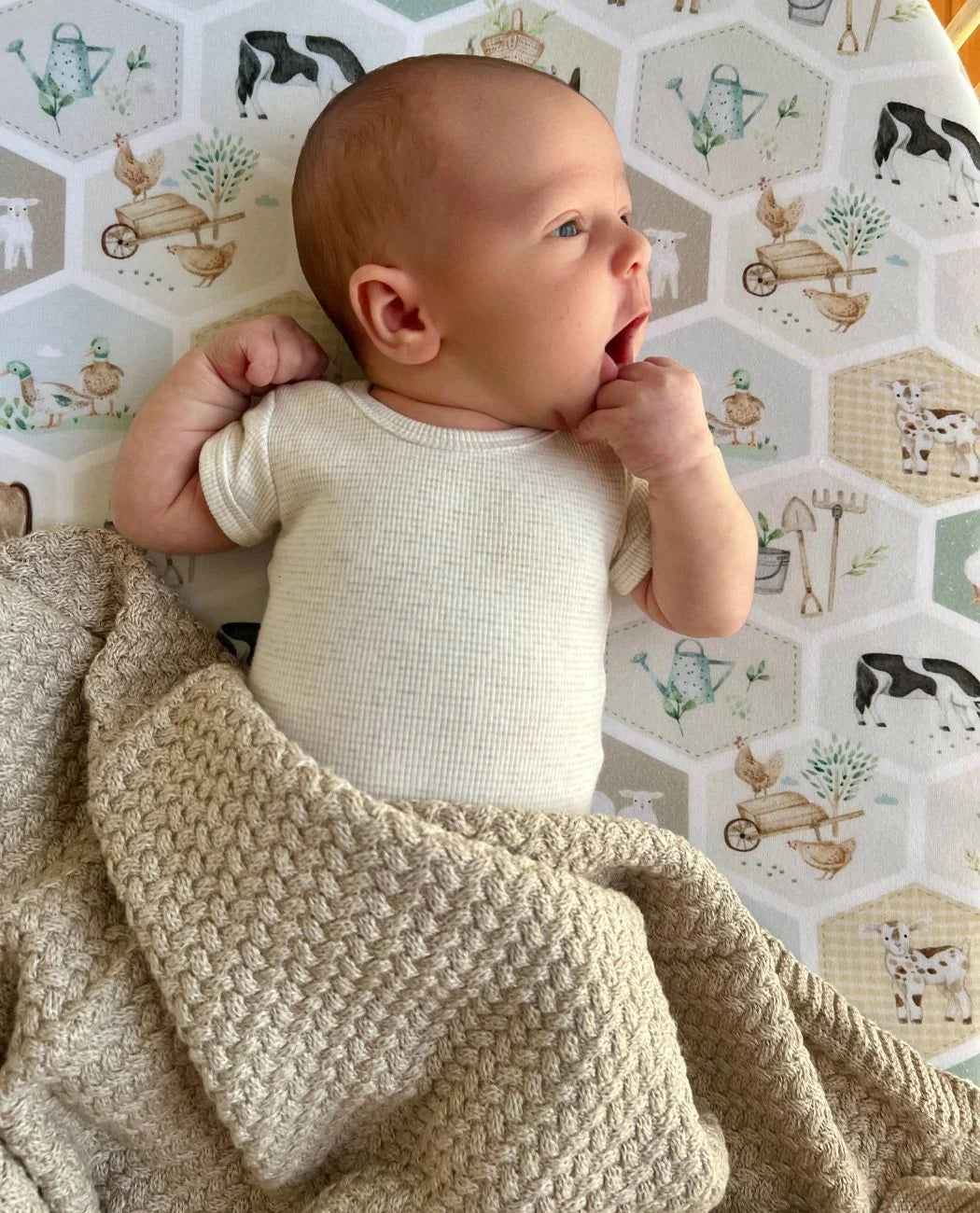 Bassinet/ Co-Sleeper Sheet