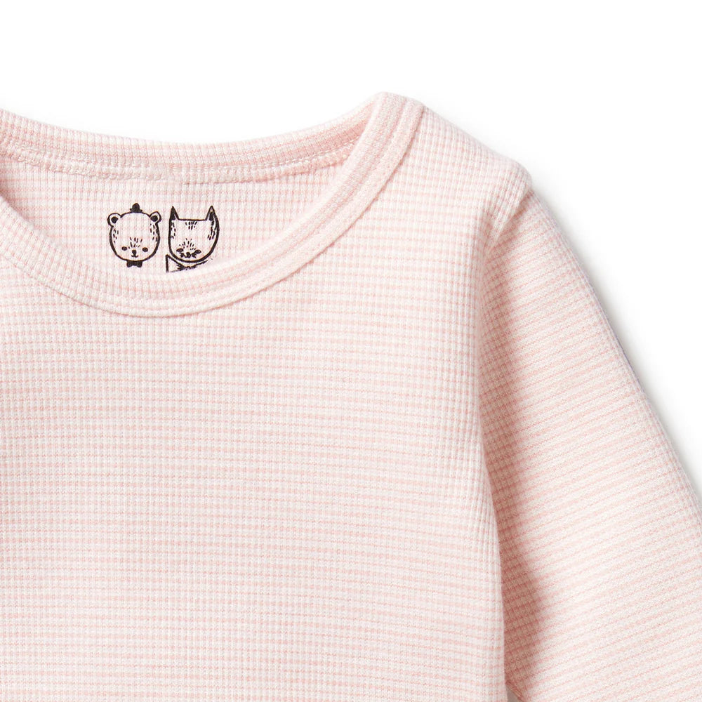 Organic Stripe Rib Long Sleeved Top - Cantaloupe