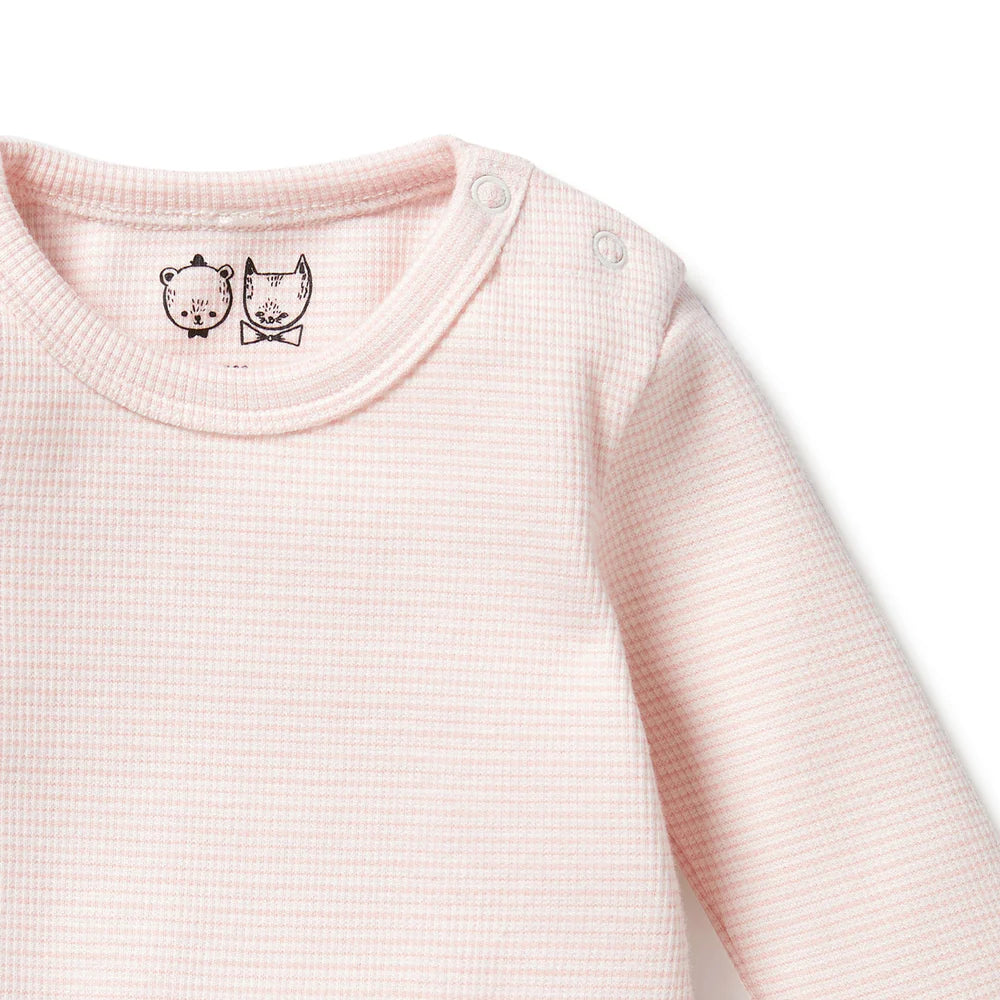 Organic Stripe Rib Long Sleeved Bodysuit - Cantaloupe
