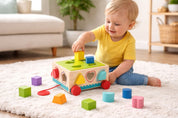Shape Sorter Cart