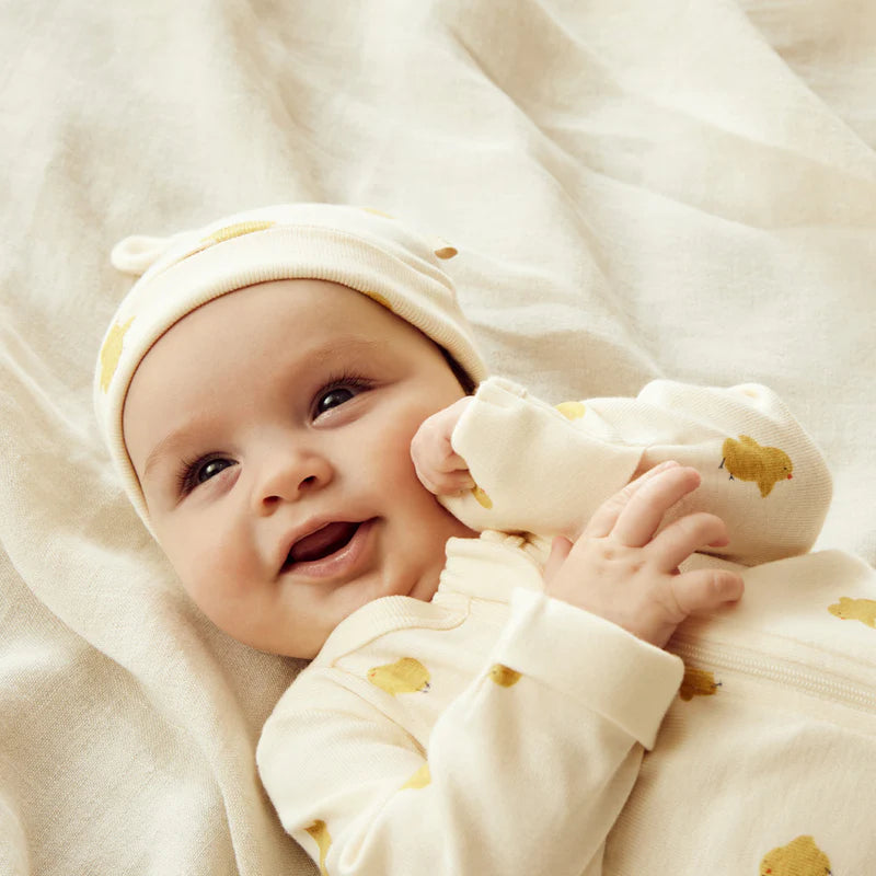 IMG-4810.webp
