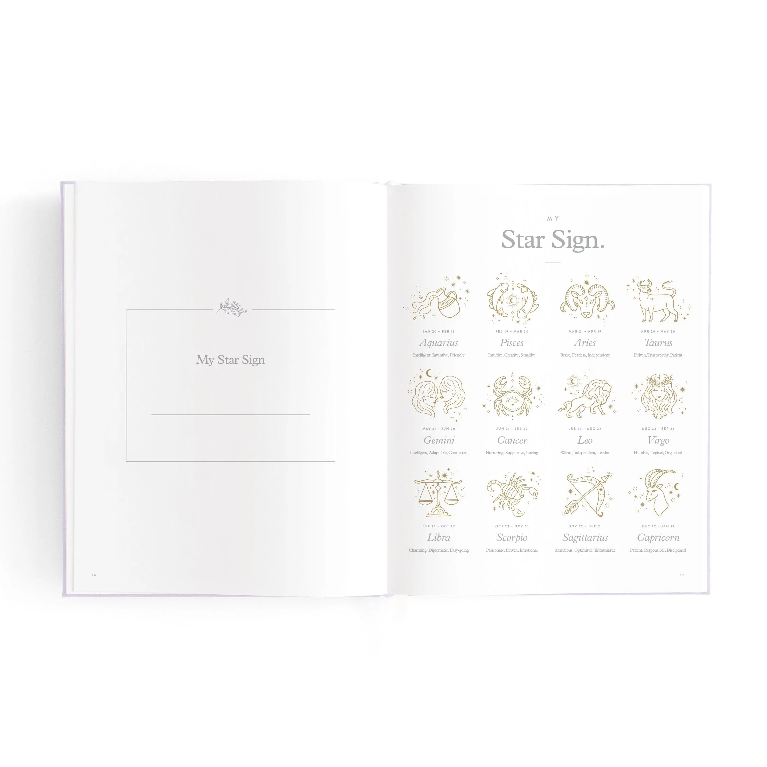 Mini baby book
