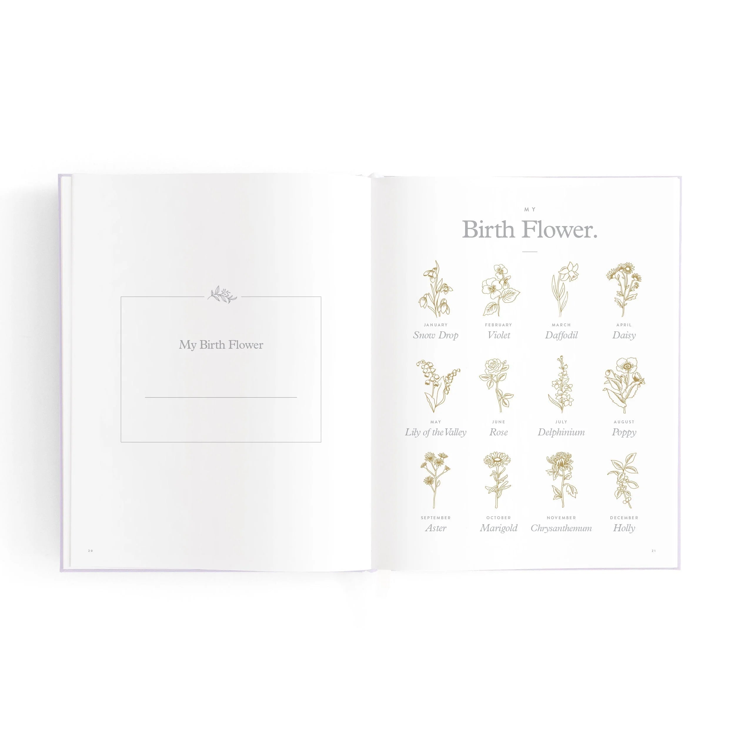 Mini baby book