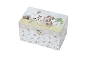 Puppy Play Jewellery Box