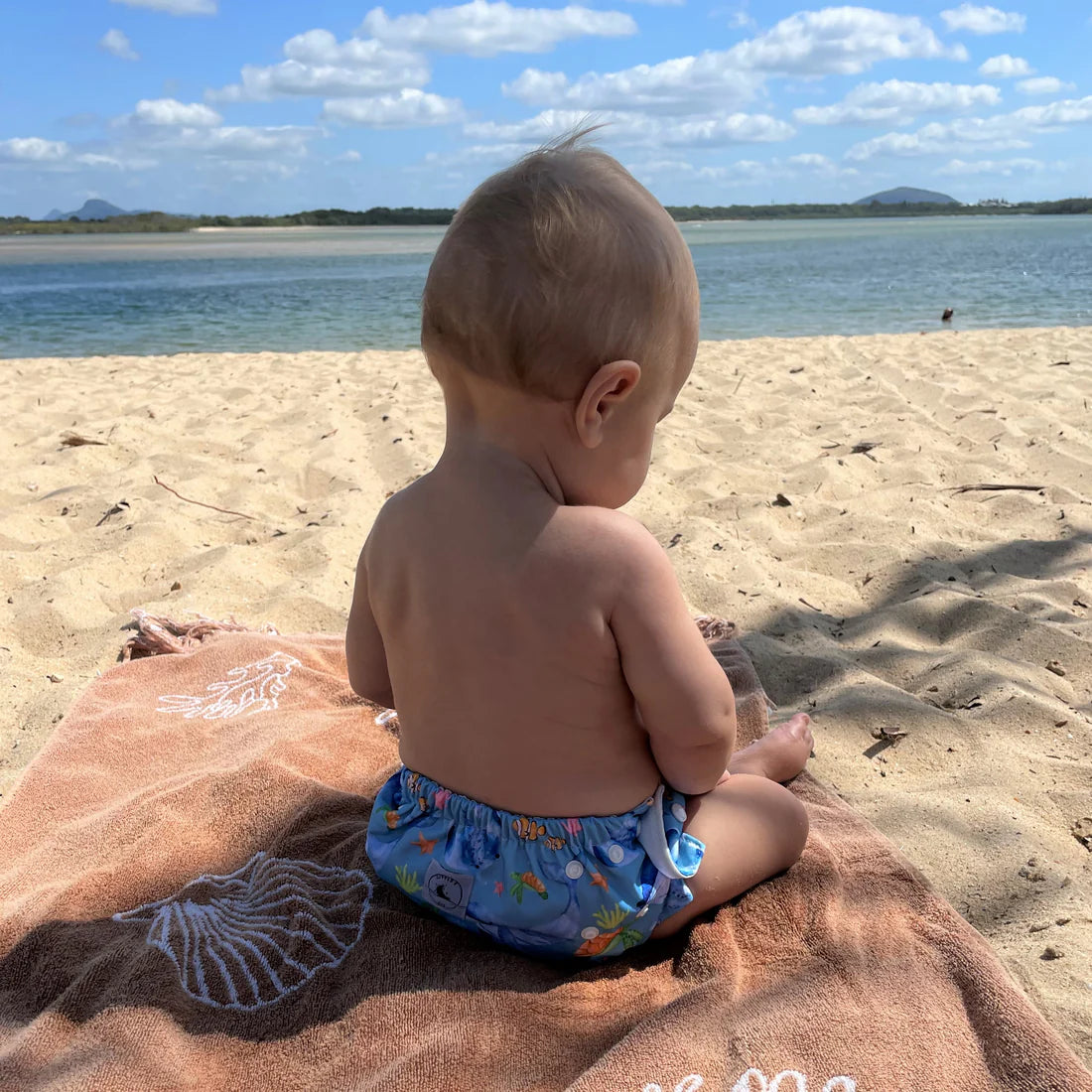 Reusable Swim Nappy - Ocean