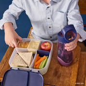 Lunchbox - Harry Potter