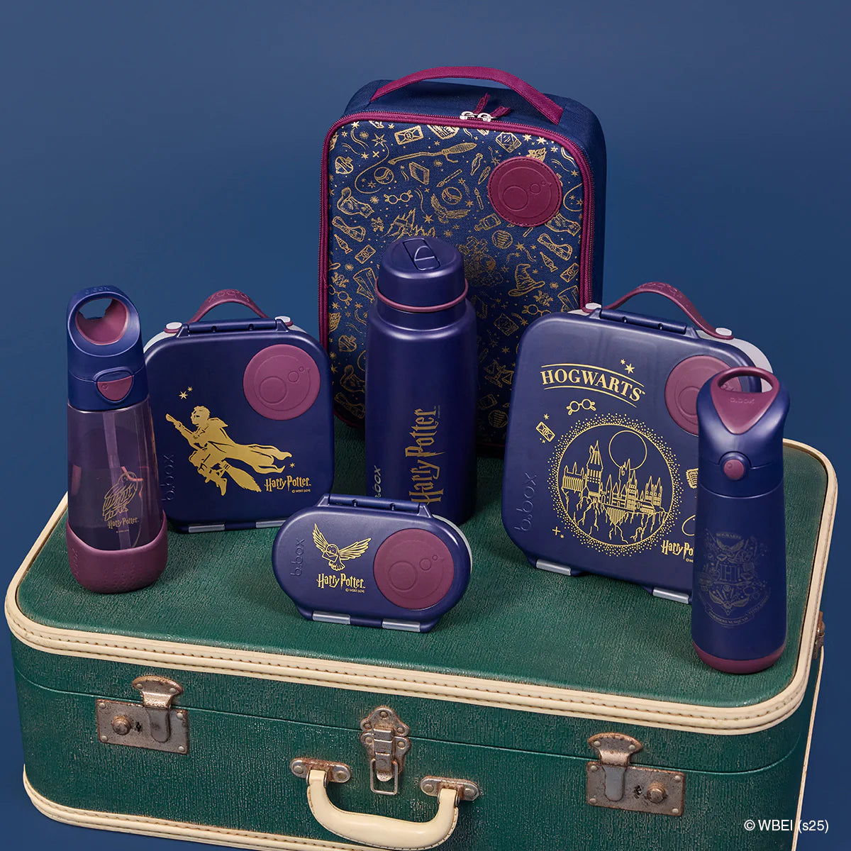 Lunchbox - Harry Potter