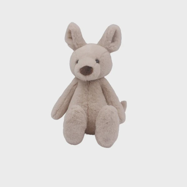 Kalvin the Kangaroo