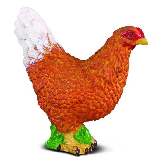 Hen