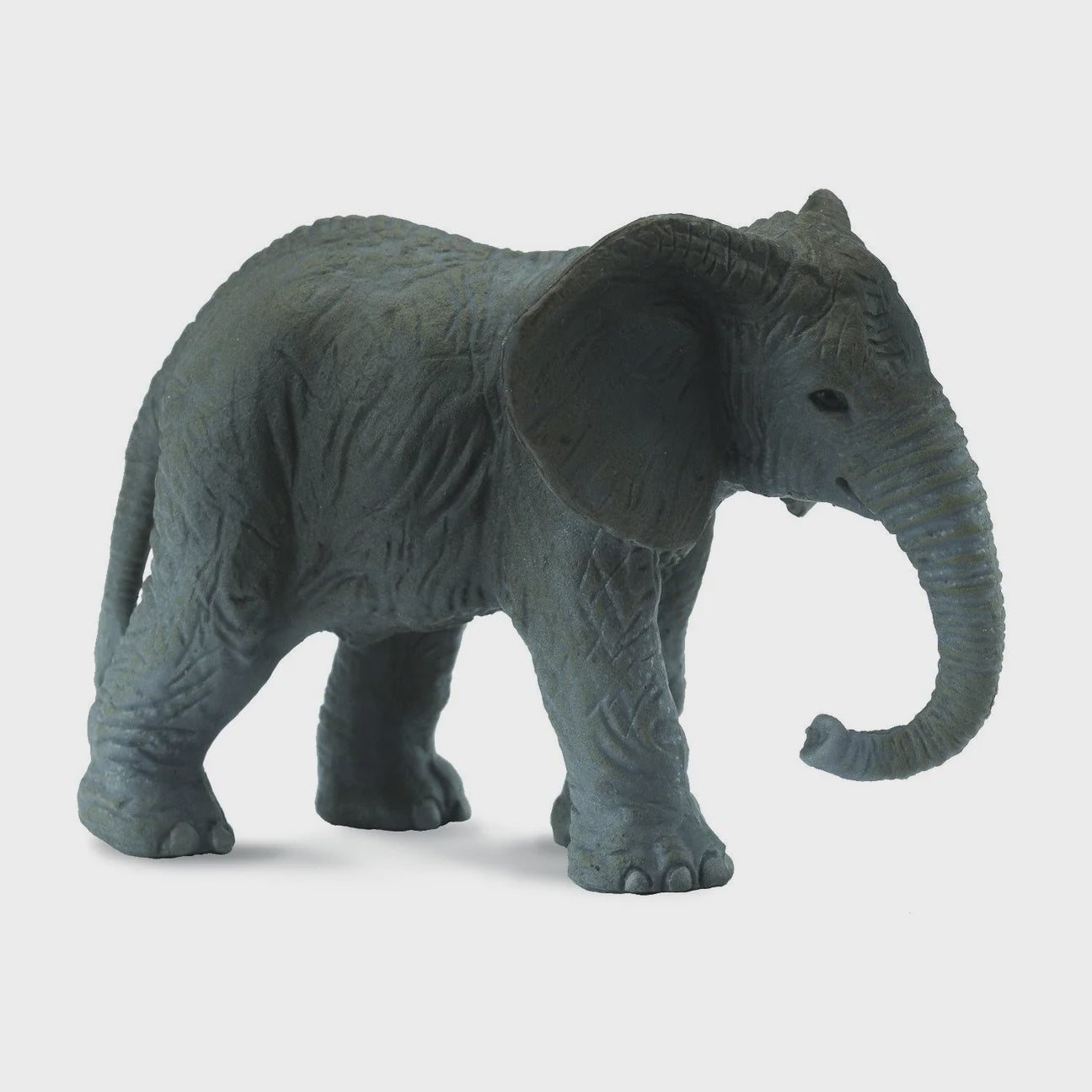 African Elephant Calf